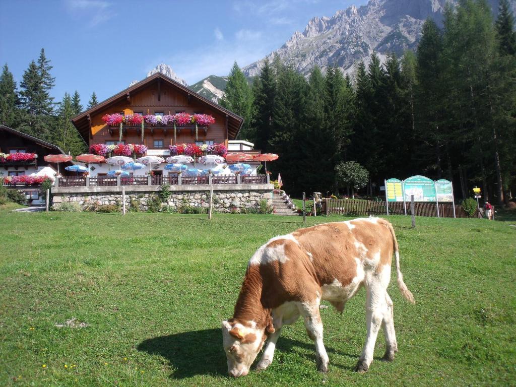 Gasthof Edelbrunn Hotel Ramsau am Dachstein Kültér fotó